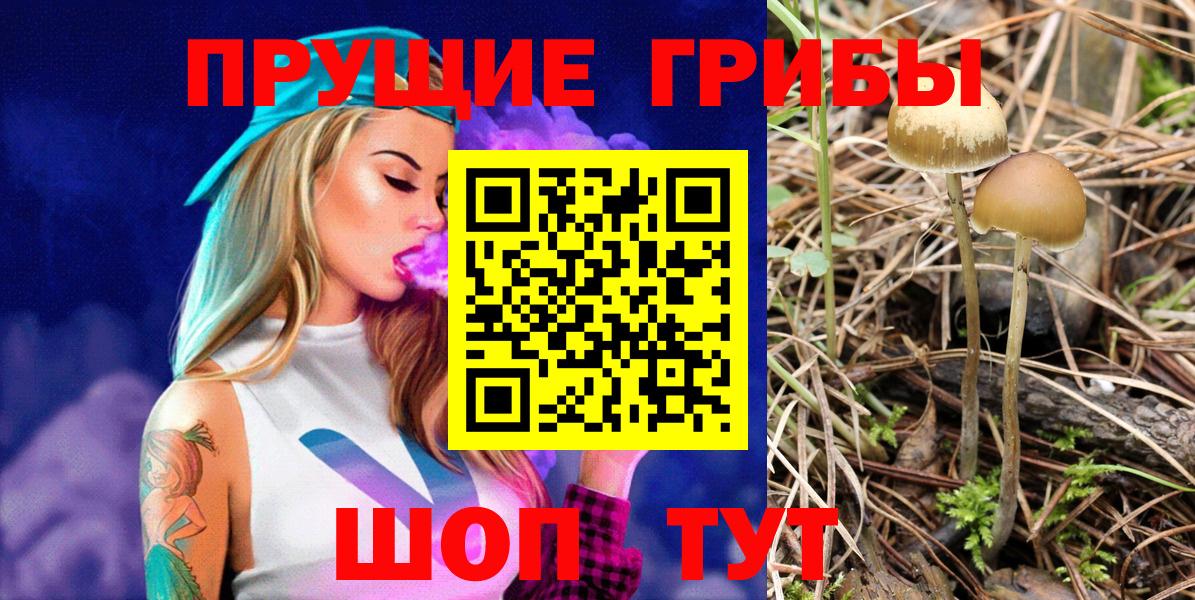 Псилоцибиновые грибы Cubensis Вятские Поляны