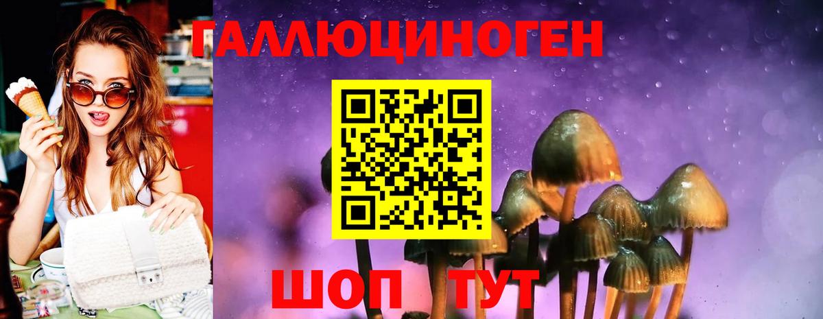 Псилоцибиновые грибы мухоморы  Вход с VPN  Вятские Поляны 
